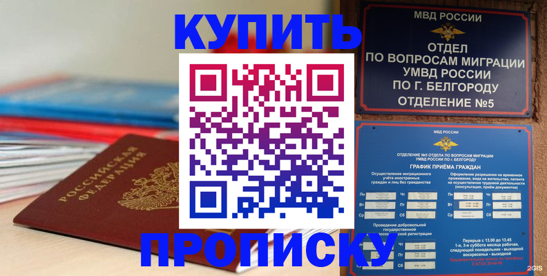 прописка для работы в Тамбове